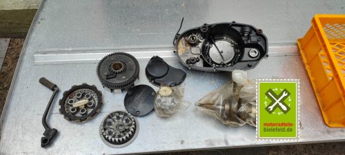IMG_20230824_162441